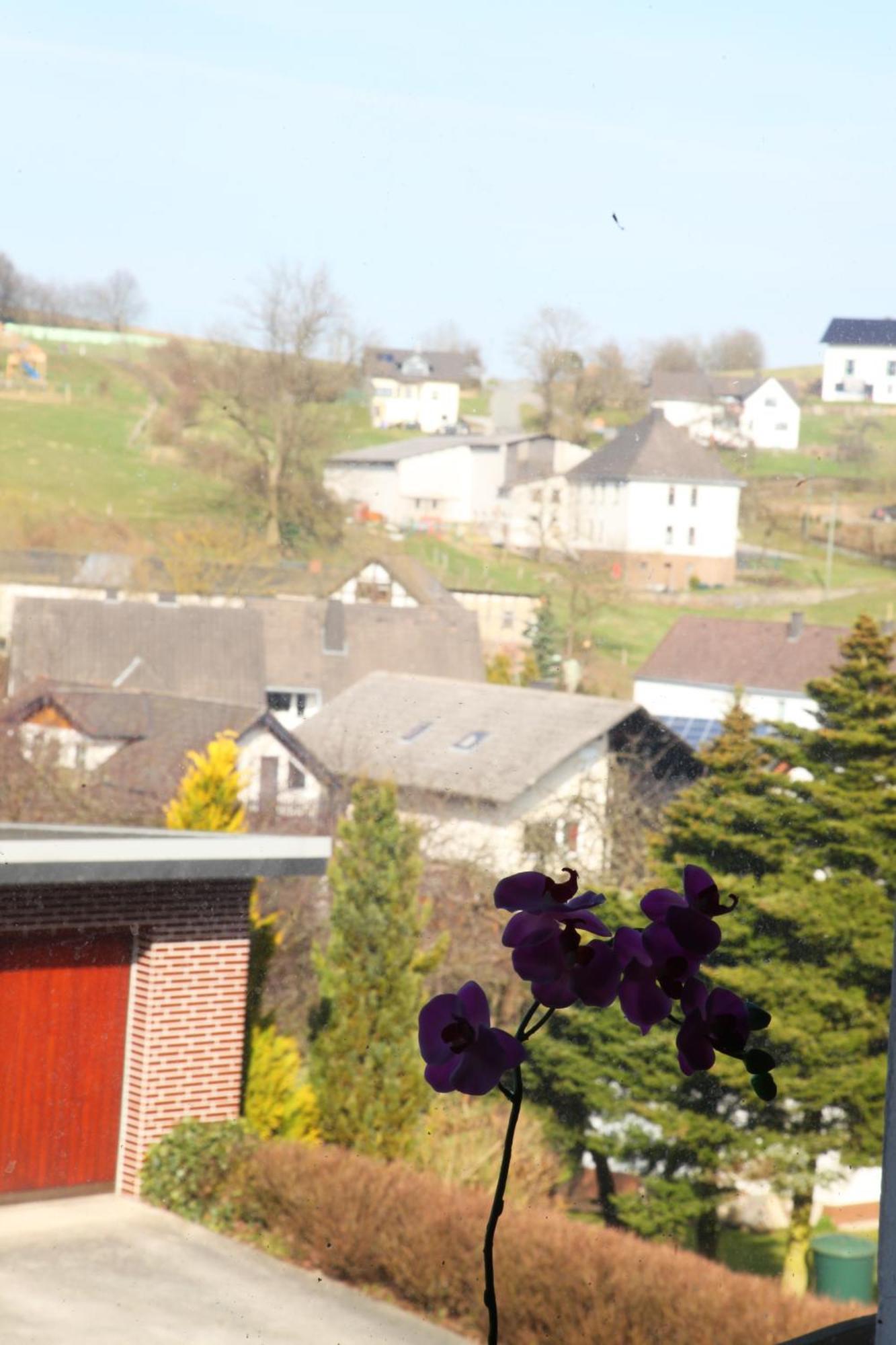 Haus Nova Am Bollerberg Bed & Breakfast Hallenberg Dış mekan fotoğraf